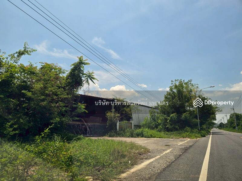 ขาย - โรงอบลำไย เนื้อที่ 2-1-53 ไร่ ต.ดอนเจดีย์ อ.ป่าซาง จ.ลำพูน, ลำพูน