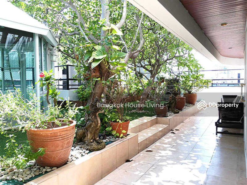 ให้เช่า - Sachayan Court : สัจญาณ คอร์ท, กรุงเทพ