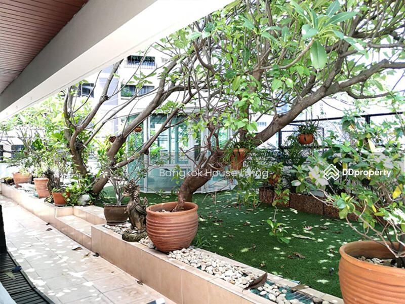 ให้เช่า - Sachayan Court : สัจญาณ คอร์ท, กรุงเทพ