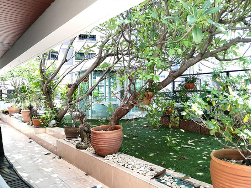 Sachayan Court, Bangkok, Soi Sukhumvit 20, Khlong Toei, Bangkok, 3 Bedrooms, 350 sqm, Condo For Rent, by Bangkok House Living, 60139760 - DDproperty.com