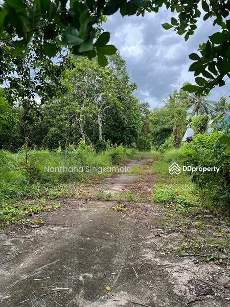 ขาย - ที่ดินเปล่า, ระยอง