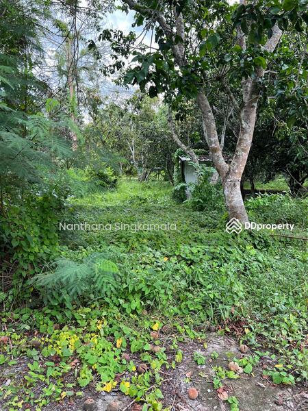 For Sale - LAND for SALE, Rayong