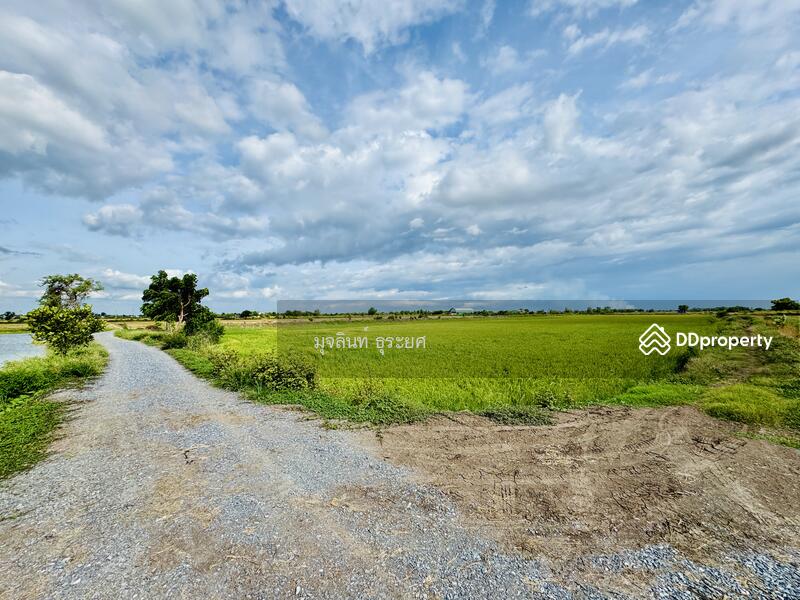 ขาย - ที่ดินเปล่าจังหวัดนครปฐม 70ไร่ 3งาน 40ตารางวา ตำบลบางหลวง อำเภอบางเลน, นครปฐม