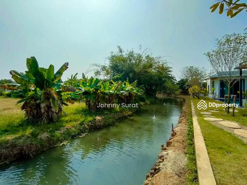 ขาย - วัดหนองแฝก, เชียงใหม่