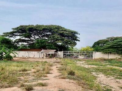 ขาย - ที่ดิน พัทยา ซอย 2 วัดบุณย์กัญจนา, ชลบุรี