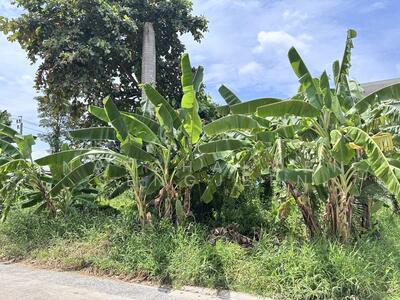 ขาย - ขายที่ดิน 199 ตารางวา ซอยสินทวี ถนนเทพารักษ์ ต.สำโรงเหนือ อ.เมือง จ.สมุทรปราการ, สมุทรปราการ