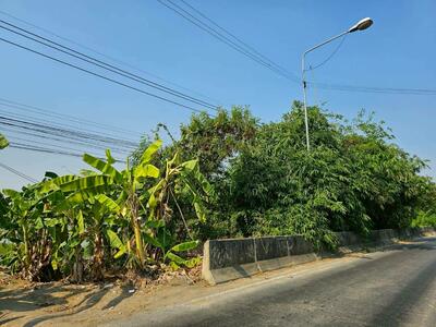 ขาย - ขายที่ดินสวย 11 ไร่เศษ ติดถนน 345 ต.คลองข่อย อ.ปากเกร็ด นนทบุรี, นนทบุรี