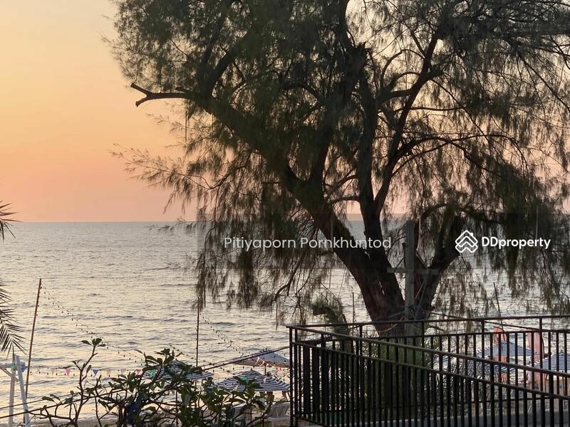 ให้เช่า - Pine Shores : ไพนชอร์ส, ชลบุรี