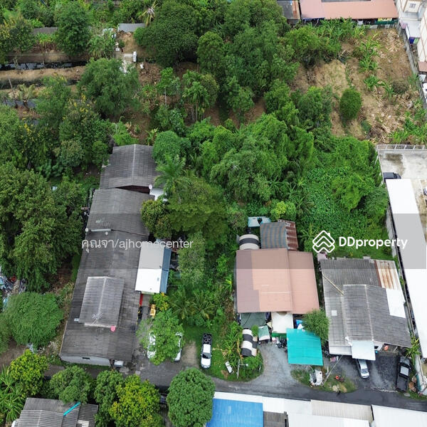 ขาย - ที่ดิน4-7-74 ไร่ ซ.เรวดี46 ผังสีส้ม, นนทบุรี
