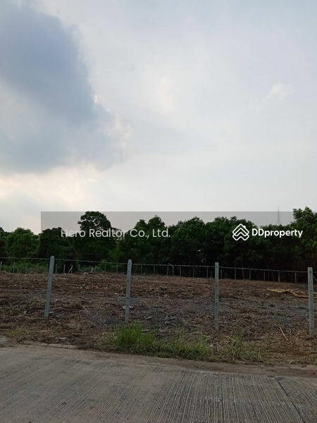 For Rent - For Rent Pathum Thani Land Lam Luk Ka BRE20066, Pathum Thani