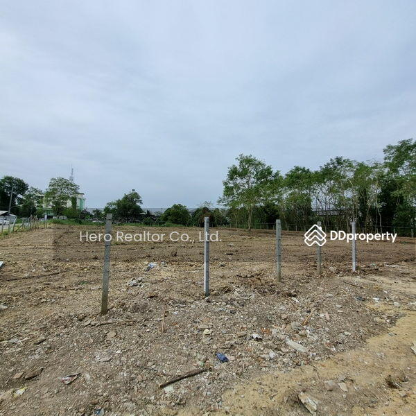 For Rent - For Rent Pathum Thani Land Lam Luk Ka BRE20066, Pathum Thani