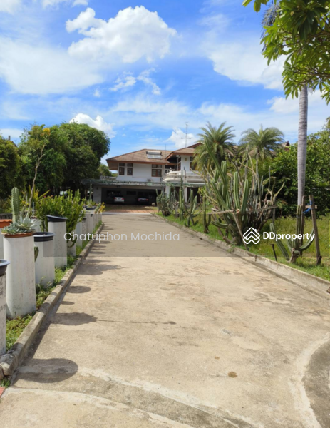 ขาย - 5-Br House in Bang Phut, นนทบุรี