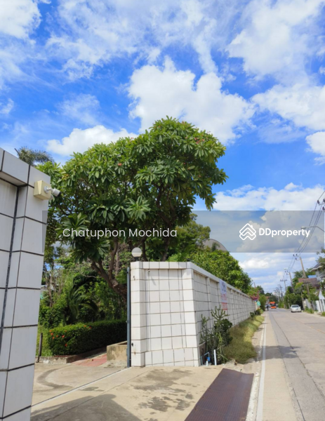 ขาย - 5-Br House in Bang Phut, นนทบุรี