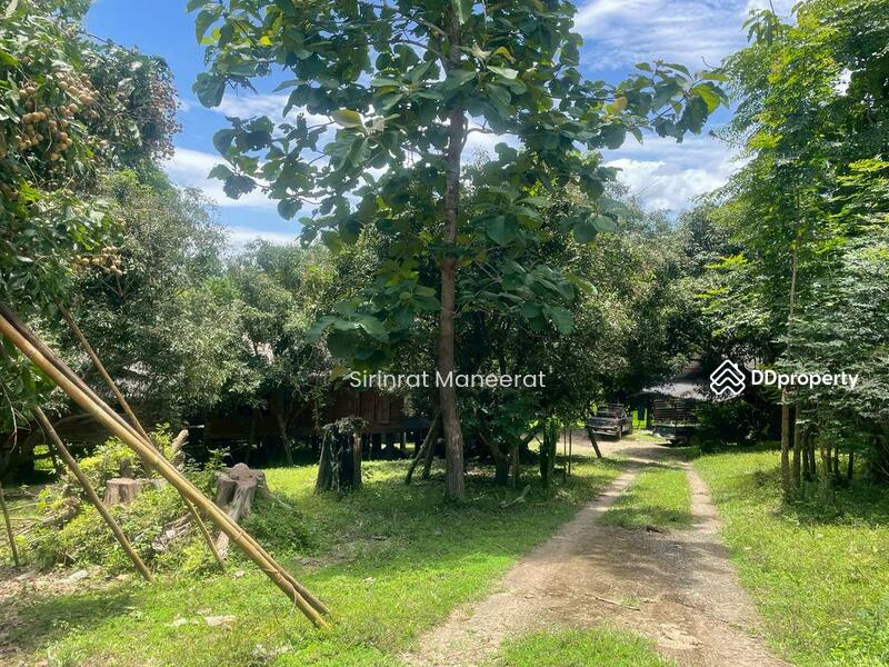 For Sale - ขายดินเปล่า บรรยากาศนอกเมืองบนพื้นที่ เกือบ 12 ไร่ ตั้งอยู่ที่ อ.แม่ริม เชียงใหม่ ภาคเหนือของประเทศ, Chiang Mai