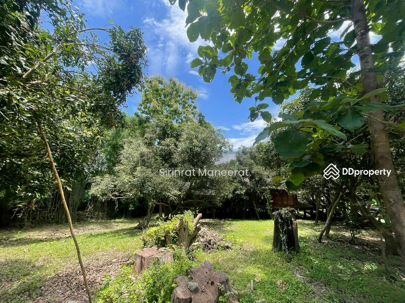 For Sale - ขายดินเปล่า บรรยากาศนอกเมืองบนพื้นที่ เกือบ 12 ไร่ ตั้งอยู่ที่ อ.แม่ริม เชียงใหม่ ภาคเหนือของประเทศ, Chiang Mai
