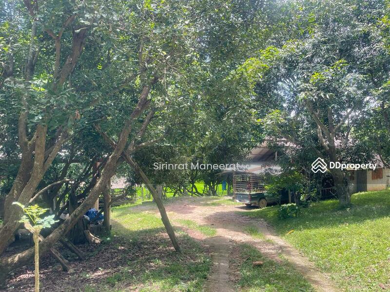 For Sale - ขายดินเปล่า บรรยากาศนอกเมืองบนพื้นที่ เกือบ 12 ไร่ ตั้งอยู่ที่ อ.แม่ริม เชียงใหม่ ภาคเหนือของประเทศ, Chiang Mai
