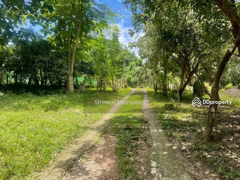 For Sale - ขายดินเปล่า บรรยากาศนอกเมืองบนพื้นที่ เกือบ 12 ไร่ ตั้งอยู่ที่ อ.แม่ริม เชียงใหม่ ภาคเหนือของประเทศ, Chiang Mai