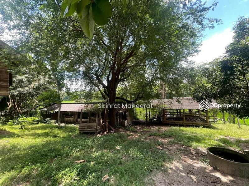 For Sale - ขายดินเปล่า บรรยากาศนอกเมืองบนพื้นที่ เกือบ 12 ไร่ ตั้งอยู่ที่ อ.แม่ริม เชียงใหม่ ภาคเหนือของประเทศ, Chiang Mai
