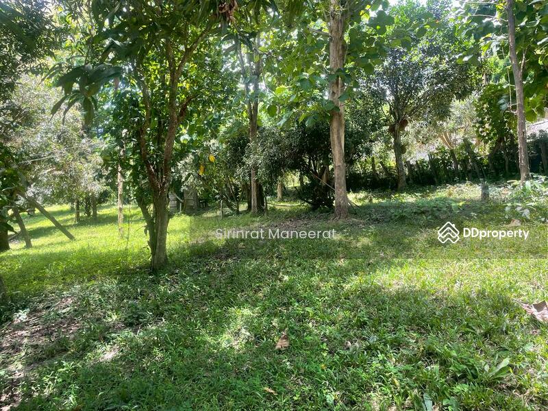 For Sale - ขายดินเปล่า บรรยากาศนอกเมืองบนพื้นที่ เกือบ 12 ไร่ ตั้งอยู่ที่ อ.แม่ริม เชียงใหม่ ภาคเหนือของประเทศ, Chiang Mai