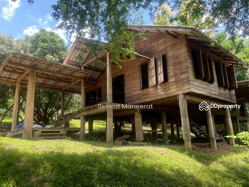 For Sale - ขายดินเปล่า บรรยากาศนอกเมืองบนพื้นที่ เกือบ 12 ไร่ ตั้งอยู่ที่ อ.แม่ริม เชียงใหม่ ภาคเหนือของประเทศ, Chiang Mai