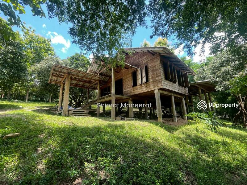 ขาย - ขายดินเปล่า บรรยากาศนอกเมืองบนพื้นที่ เกือบ 12 ไร่ ตั้งอยู่ที่ อ.แม่ริม เชียงใหม่ ภาคเหนือของประเทศ, เชียงใหม่