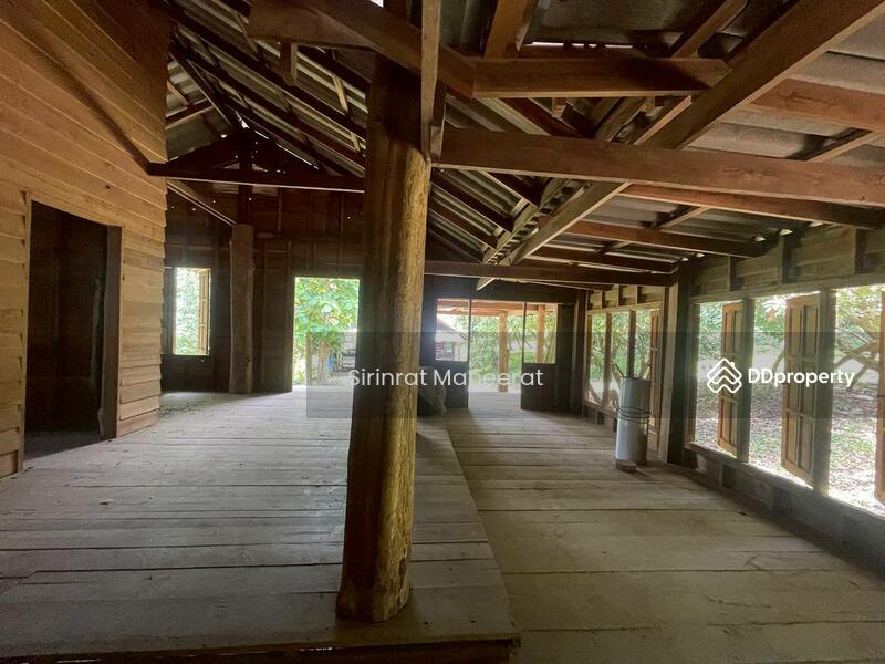 For Sale - ขายดินเปล่า บรรยากาศนอกเมืองบนพื้นที่ เกือบ 12 ไร่ ตั้งอยู่ที่ อ.แม่ริม เชียงใหม่ ภาคเหนือของประเทศ, Chiang Mai