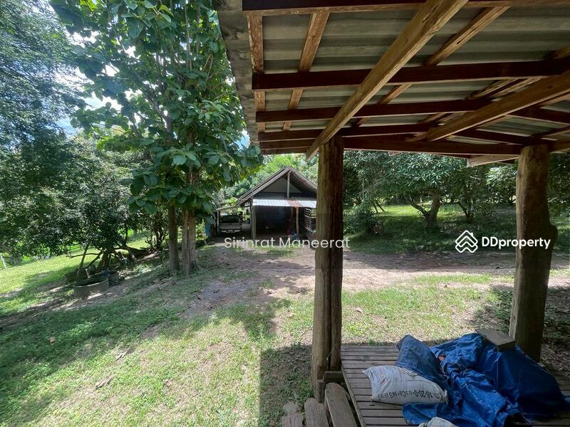 For Sale - ขายดินเปล่า บรรยากาศนอกเมืองบนพื้นที่ เกือบ 12 ไร่ ตั้งอยู่ที่ อ.แม่ริม เชียงใหม่ ภาคเหนือของประเทศ, Chiang Mai