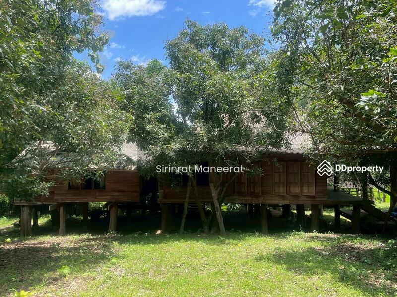 For Sale - ขายดินเปล่า บรรยากาศนอกเมืองบนพื้นที่ เกือบ 12 ไร่ ตั้งอยู่ที่ อ.แม่ริม เชียงใหม่ ภาคเหนือของประเทศ, Chiang Mai