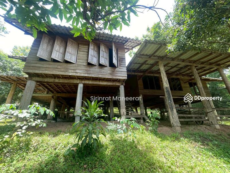 For Sale - ขายดินเปล่า บรรยากาศนอกเมืองบนพื้นที่ เกือบ 12 ไร่ ตั้งอยู่ที่ อ.แม่ริม เชียงใหม่ ภาคเหนือของประเทศ, Chiang Mai