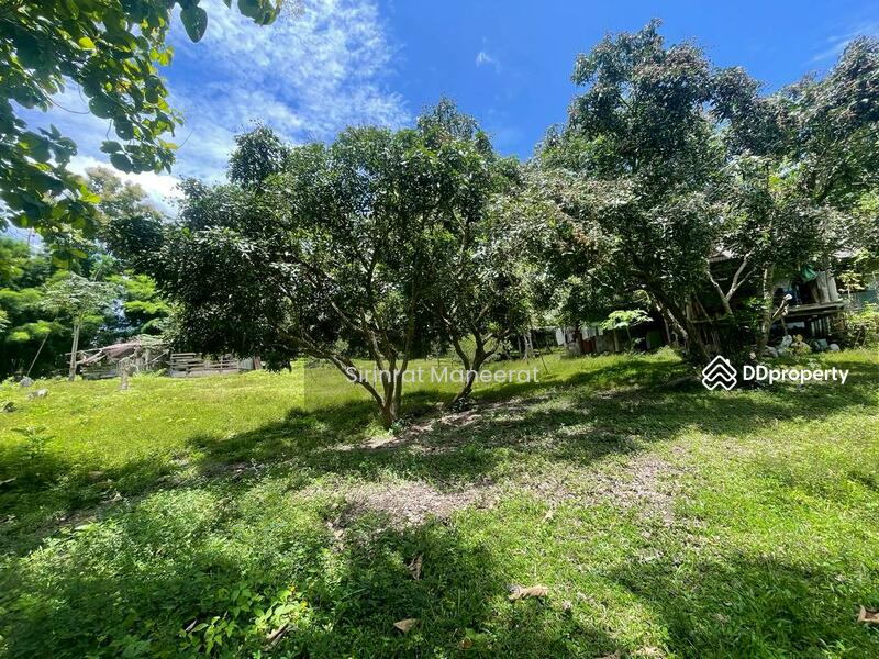 For Sale - ขายดินเปล่า บรรยากาศนอกเมืองบนพื้นที่ เกือบ 12 ไร่ ตั้งอยู่ที่ อ.แม่ริม เชียงใหม่ ภาคเหนือของประเทศ, Chiang Mai