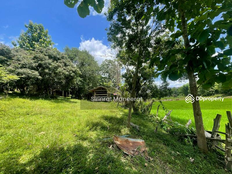 For Sale - ขายดินเปล่า บรรยากาศนอกเมืองบนพื้นที่ เกือบ 12 ไร่ ตั้งอยู่ที่ อ.แม่ริม เชียงใหม่ ภาคเหนือของประเทศ, Chiang Mai