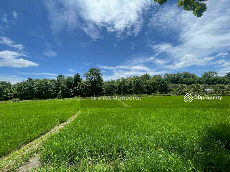 ขาย - ขายดินเปล่า บรรยากาศนอกเมืองบนพื้นที่ เกือบ 12 ไร่ ตั้งอยู่ที่ อ.แม่ริม เชียงใหม่ ภาคเหนือของประเทศ, เชียงใหม่