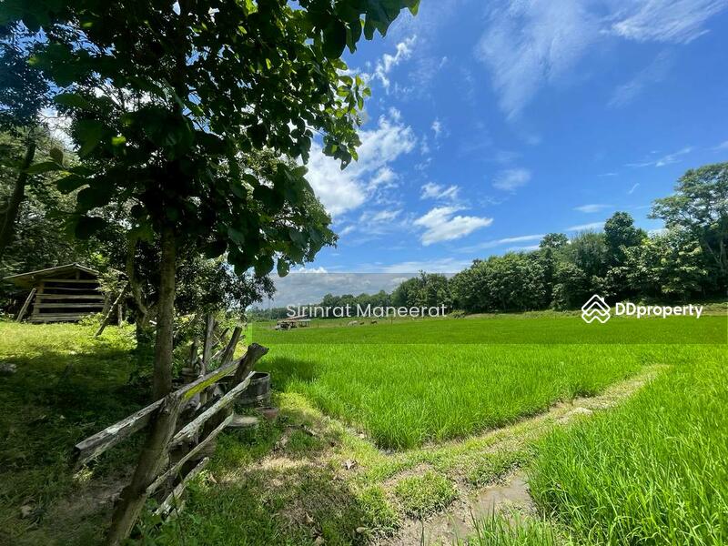 For Sale - ขายดินเปล่า บรรยากาศนอกเมืองบนพื้นที่ เกือบ 12 ไร่ ตั้งอยู่ที่ อ.แม่ริม เชียงใหม่ ภาคเหนือของประเทศ, Chiang Mai