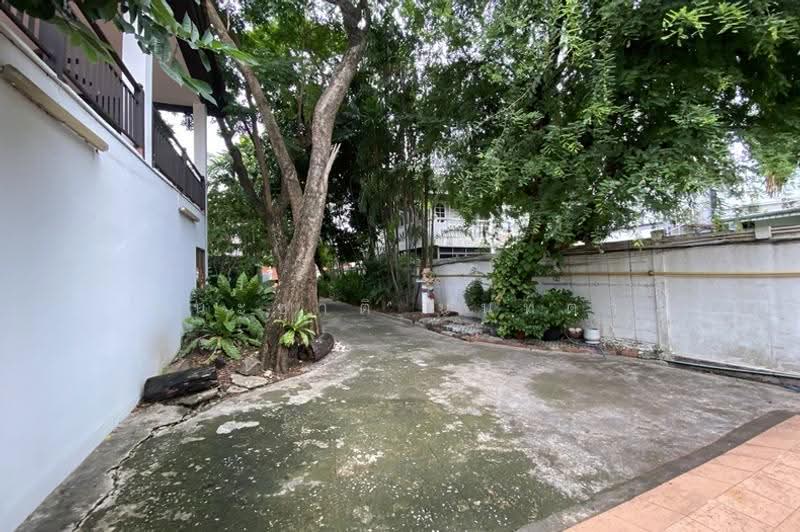 พหลโยธิน 8 (สายลม2), กรุงเทพ, พหลโยธิน, สามเสนใน, พญาไท, กรุงเทพ, 784 ตร.ม., ที่ดิน ขาย, โดย ชนะชาติ นนท์ตา, 60142486 - DDproperty.com
