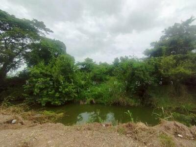 ขาย - ที่ดิน อธิเชฐธานี ถ.เชียงรากใหญ่ ซ.ม.อธิเชฐธานี ต.เชียงรากใหญ่ อ.สามโคก จ.ปทุมธานี 12160, ปทุมธานี