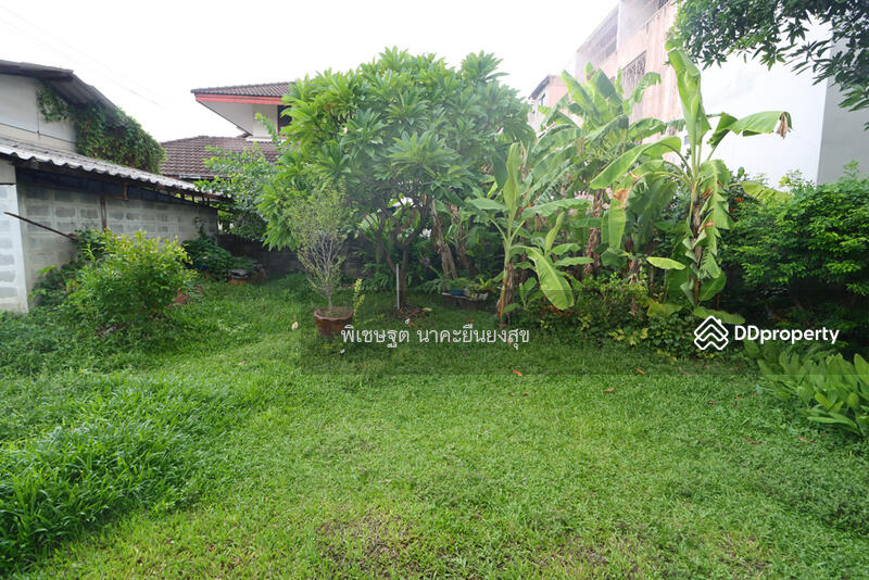 บ้านเดี่ยว ที่ดิน รัชดา, ที่ดินพร้อมบ้านเดี่ยว สุทธิสาร, ที่ดินพร้อม บ้านเดี่ยว อินทามระ ห้วยขวาง