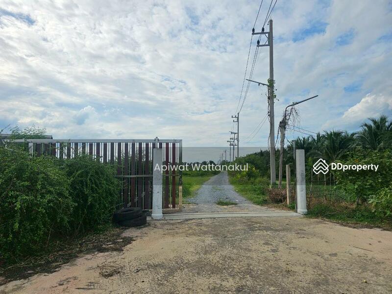 For Sale - Coconut Farm Business with Warehouse, Ratchaburi