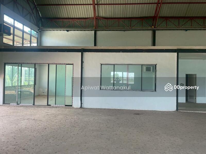 For Sale - Coconut Farm Business with Warehouse, Ratchaburi