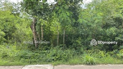 ขาย - ต.พืชอุดม, ปทุมธานี