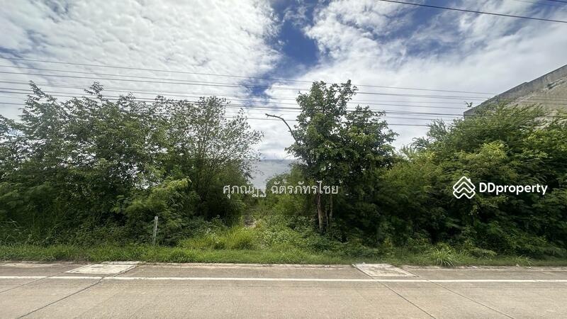 ขาย - ต.พืชอุดม, ปทุมธานี