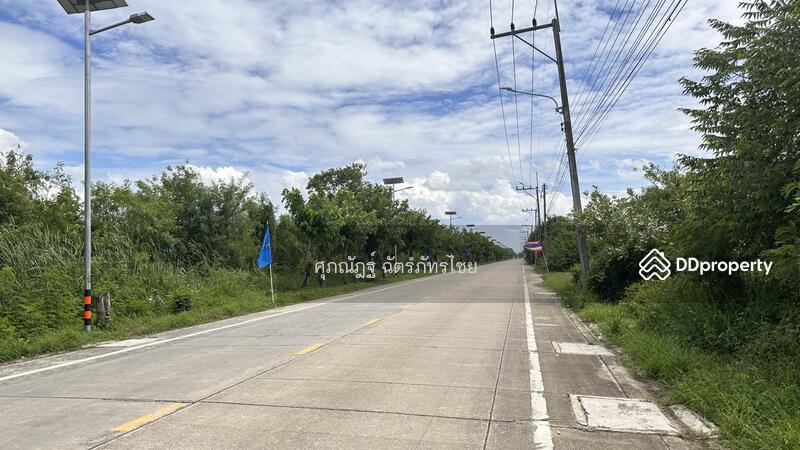 ขาย - ต.พืชอุดม, ปทุมธานี