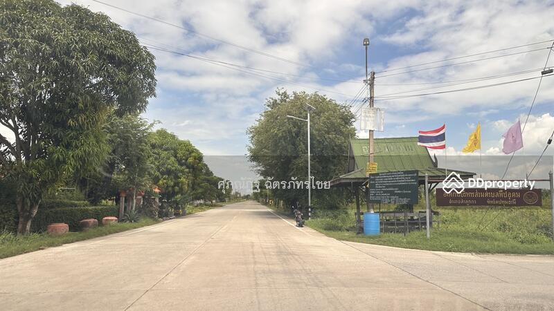 ขาย - ต.พืชอุดม, ปทุมธานี