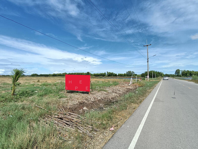 ขาย - ที่ดินบางแก้ว สมุทรสงคราม, สมุทรสงคราม