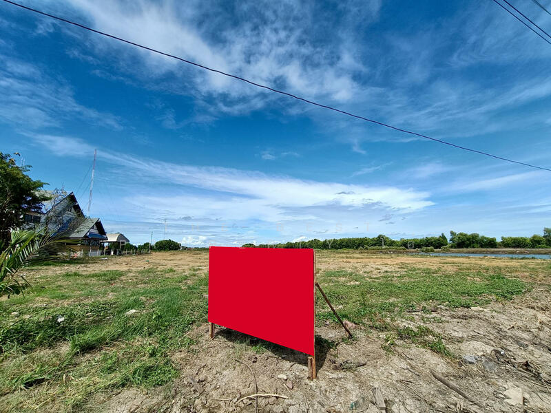 ขาย - ที่ดินบางแก้ว สมุทรสงคราม, สมุทรสงคราม