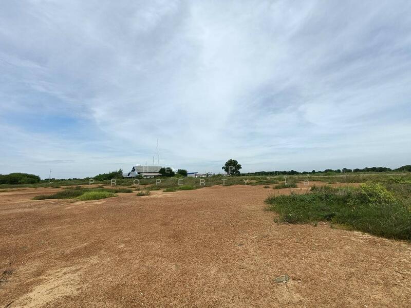 ขาย - ที่ดินบางแก้ว สมุทรสงคราม, สมุทรสงคราม