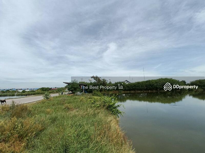 For Sale - ที่ดินบางแก้ว สมุทรสงคราม, Samut Songkhram