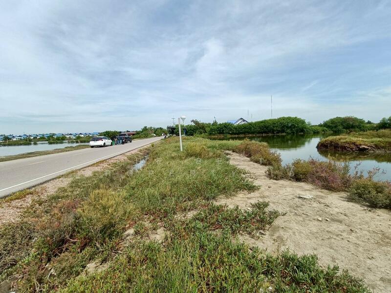 ขาย - ที่ดินบางแก้ว สมุทรสงคราม, สมุทรสงคราม