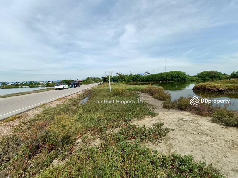 For Sale - ที่ดินบางแก้ว สมุทรสงคราม, Samut Songkhram