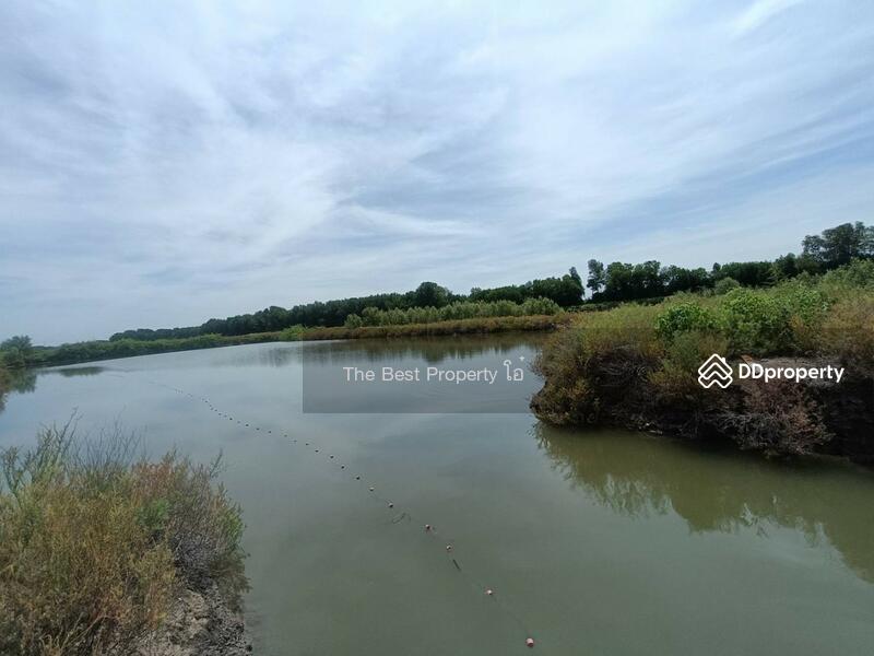 For Sale - ที่ดินบางแก้ว สมุทรสงคราม, Samut Songkhram