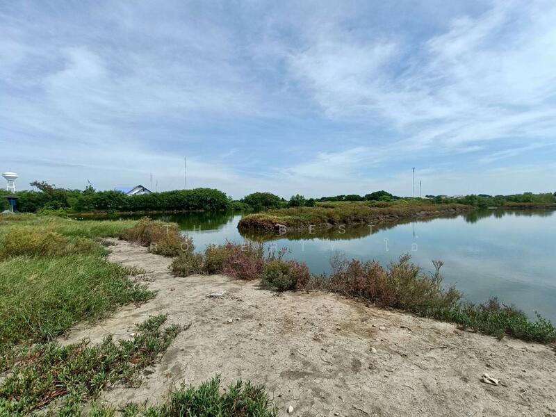 ขาย - ที่ดินบางแก้ว สมุทรสงคราม, สมุทรสงคราม